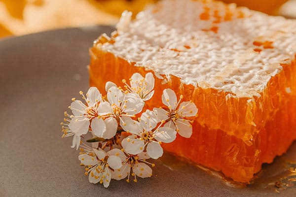 Was hilft gegen Bienenstich? Ist Bienenhonig gesund? Frische Honigwabe mit Frühlingsblüten