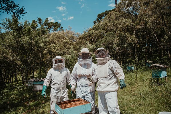 Imker bei der Arbeit Imker bei der Arbeit – warum sind Bienen so wichtig für uns